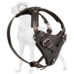 Agitation Training Harness for Great Dane