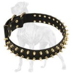 Spiked Leather Great Dane Collar with Brass Hardware