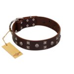 "Brown Shadow" Designer Handmade FDT Artisan Brown Leather Great Dane Collar
