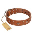 "Dreamy Gleam" FDT Artisan Tan Leather Great Dane Collar Adorned with Stars and Squares