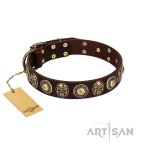 \"Caribbean Treasures\" FDT Artisan Brown Leather Dog Collar with Old-Bronze-like Conchos and Medallions with Skulls_1