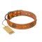 "Sun Beams" FDT Artisan Tan Leather Great Dane Collar with Decorations