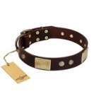 "Middle Age" FDT Artisan Brown Leather Great Dane Collar with Old Bronze-Plated Engraved Flowers and Large Plates