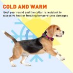 Biothane Waterproof Collar with Quick Release Buckle_10