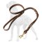 Leash & Pull Tab Combo for Great Dane
