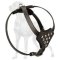 Soft Leather Great Dane Puppy Harness
