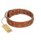 "Dreamy Gleam" FDT Artisan Tan Leather Great Dane Collar Adorned with Stars and Squares