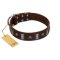 "War Chief" FDT Artisan Genuine Brown Leather Great Dane Collar with Skulls and Plates