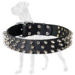 Awesome Spiked Leather Great Dane Collar