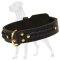 Royal Quality Decorated Genuine Leather Great Dane Collar