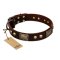 "Magic Amulet" Brown Leather Great Dane Collar with Skulls and Plates