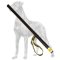 Agitation and Schutzhund Training Plastic Stick for Great Dane