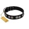"Magic Amulete" Handcrafted FDT Artisan Black Leather Great Dane Collar with Chrome-Plated Shields