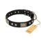 "Pirates Gold" FDT Artisan Black Leather Great Dane Collar with Old Silver Look Plates and Skulls