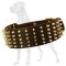 Wide Spiked Leather Great Dane Collar