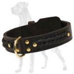 Gorgeous Wide 2 Ply Leather Collar for Great Dane