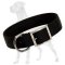 Amazing 2 Ply Nylon Collar for Great Dane