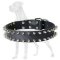 Reliable Leather Great Dane Collar with 2 Rows of Spikes
