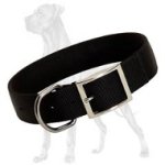 'Courageous Adventurer' Durable Nylon Great Dane Collar