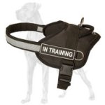 All Weather Nylon Harness for Great Dane