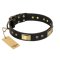 FDT Artisan 'Black Sun' Leather Great Dane Collar with Brass Plated Decorations - 1 1/2 inch (40mm) wide