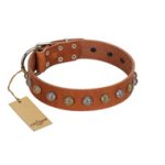 "Dogue-Vogue" FDT Artisan Tan Leather Great Dane Collar with Engraved Chrome-plated Studs