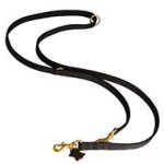 All-in-One Multi-Purpose Dog Leash for Great Dane