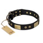 "Spanish night" FDT Artisan Black Daily Walking Leather Great Dane Collar - 1 1/2 inch (40mm) wide
