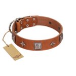 "Lucky Star" FDT Artisan Tan Leather Great Dane Collar with Silver-Like Embellishments