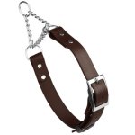 Biothane Martingale Collar with Metal Buckle_16