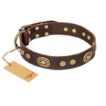 'One-of-a-Kind' FDT Artisan Decorated Brown Leather Dog Collar