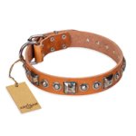 'Era of Future' FDT Artisan Handcrafted Tan Leather Great Dane Dog Collar with Decorations