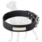Amazing Leather Collar with ID Tag for Great Dane