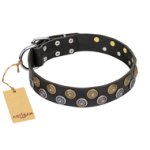 'Romantic Breeze' FDT Artisan Leather Great Dane Collar with Sparkling