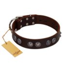 "King Arthur" FDT Artisan Brown Leather Great Dane Collar with Spiky Plates