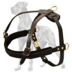 Genuine Leather Great Dane Harness - Multitask Leather Harness