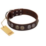 "Treasure Hunter" FDT Artisan Brown Leather Great Dane Collar with Old-Bronze-like and Silvery Medallions
