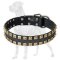Unique Studded Leather Great Dane Collar