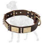 Fashionable Leather Collar with Plates and Spikes for Great Dane
