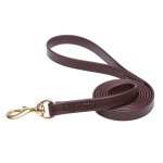 Brown Waterproof Great Dane Leash Made of Biothane_1