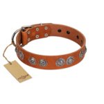 "Woofy Majesty" FDT Artisan Tan Leather Great Dane Collar with Round Silver-like Plates