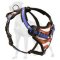 American Flag Leather Harness for Great Dane