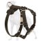 Fashionable Leather Great Dane Harness with Studs
