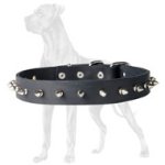 Small Spiked Dog Collar for Great Dane