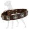 Great Dane Leather Collar with Plated Circles and Blue Stones