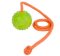 Reliable Rubber Ball with a Rope for Great Danes 2 1/3 inch (6 cm) - TT1