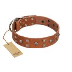 "Enchanted Skulls" FDT Artisan Tan Leather Great Dane Collar with Chrome Plated Skulls
