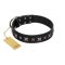 "Polar Lights" Designer FDT Artisan Black Leather Great Dane Collar with Silver-Like Studs