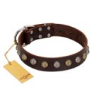 "Gape Buster" FDT Artisan Brown Leather Great Dane Collar with One Row of Studs