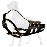 Anti-Barking Genuine Leather Muzzle for Great Dane